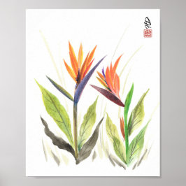 Paradisfåglar i morgonljus poster