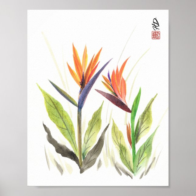 Paradisfåglar i morgonljus poster (Framsidan)