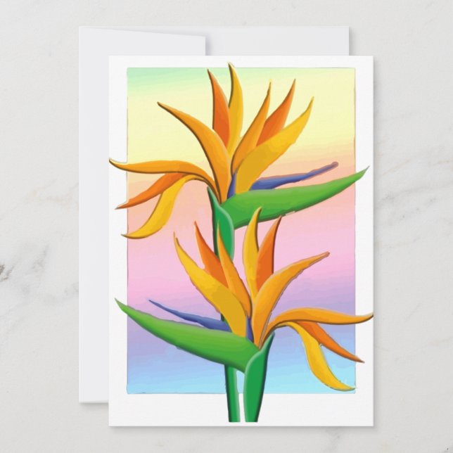Paradisfåglar med Pastel Rainbow Background Inbjudningar (Framsida)