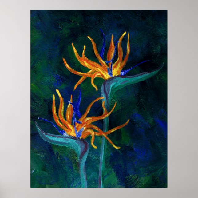 Paradisfåglar Poster (Framsidan)