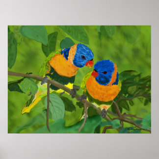 Paradisfåglar Poster