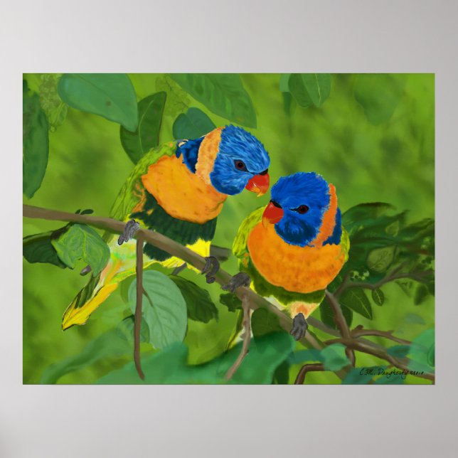 Paradisfåglar Poster (Framsidan)