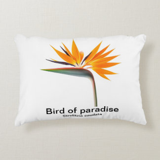 Paradisskudda Prydnadskudde