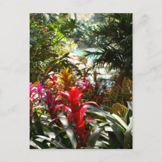 Paradisvykort Vykort