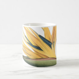 Parados (Strelitzia reginae) från Redouté Kaffemugg