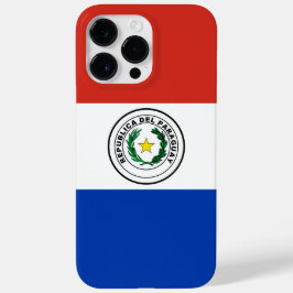Paraguay flagga
