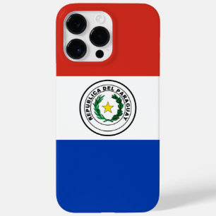Paraguay flagga