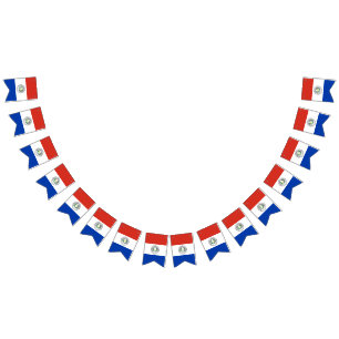 Paraguay Flagga