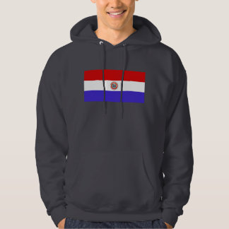 Paraguay flagga hoodie