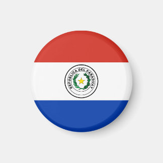 Paraguay flagga magnet