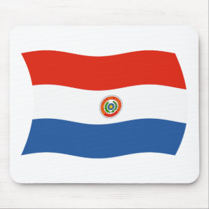 Paraguay Flagga Musmatta