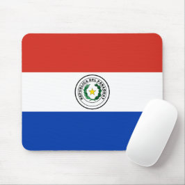 Paraguay flagga musmatta