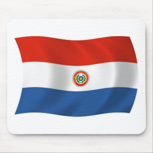 Paraguay Flagga Musmatta