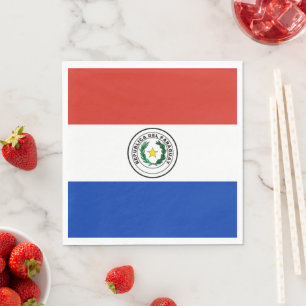 Paraguay flagga pappersservett