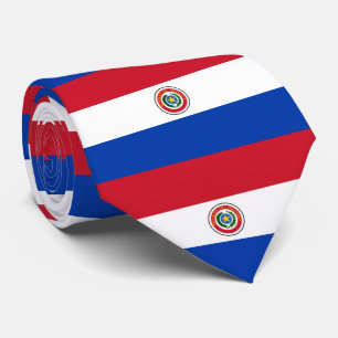 Paraguay flagga slips