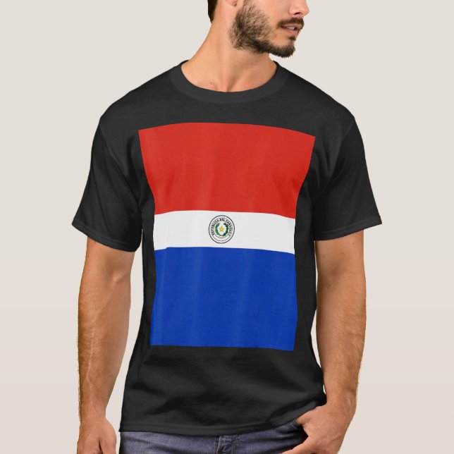Paraguay Flagga Souvenir Heritage Travel T Shirt (Framsida)