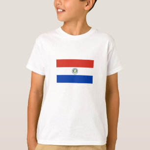 Paraguay Flagga T Shirt