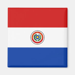 Paraguay flaggamagnet magnet