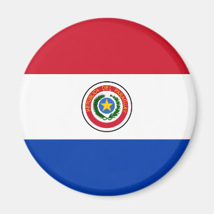 Paraguay flaggamagnet magnet