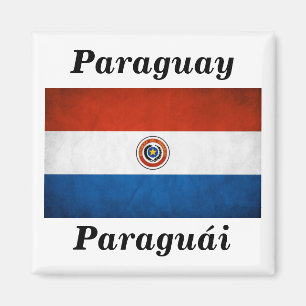 Paraguay National Flagga Magnet