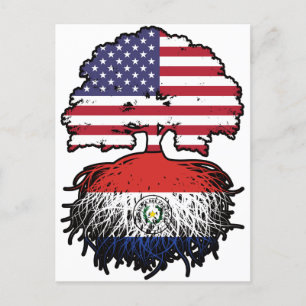 Paraguay Paraguayan Amerikanska Träd Roots Flagga Vykort