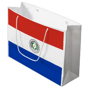 Paraguayanska flaggan