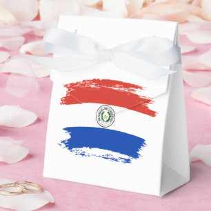 Paraguayanska flaggan presentaskar