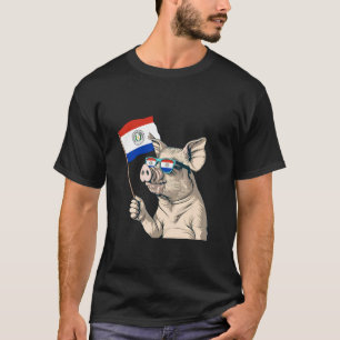 Paraguayanska rötter Flagg Gris Paraguayansk stolt T Shirt