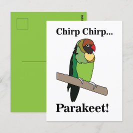 Parakeet Bird Vykort