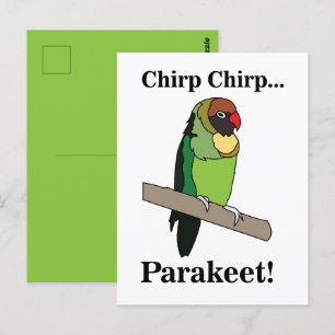 Parakeet Bird Vykort