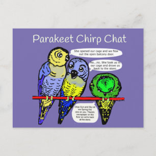 Parakeet Chirp och Talk är Cheep Postcard Vykort