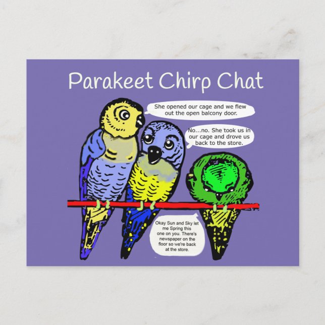 Parakeet Chirp och Talk är Cheep Postcard Vykort (Framsida)
