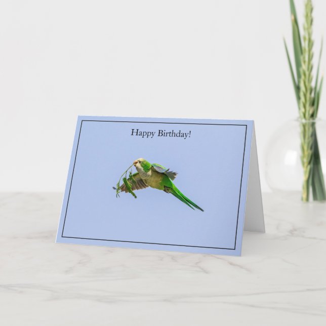 Parakeet för Munk-kortet grattis på födelsedagen Kort (Framsida)