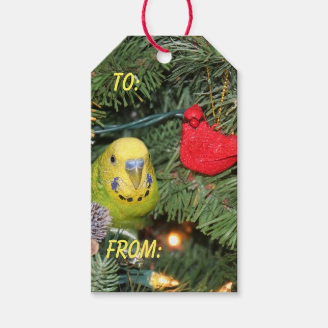 Parakeet i Julgran Presentetikett (Framsidan)