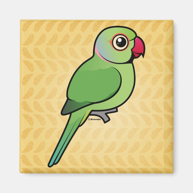 Parakeet i ro magnet (Framsidan)