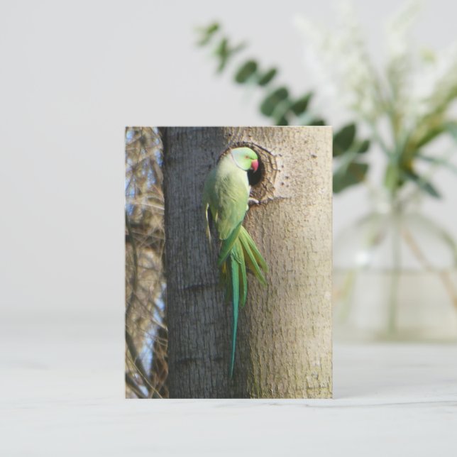 Parakeet i Träd DIY-vykort med ro-nummer Vykort (Stående Fram)