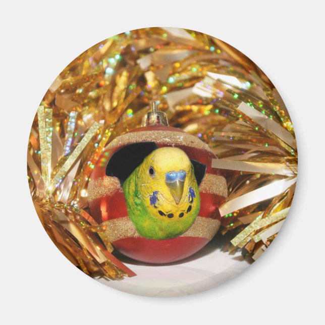 Parakeet jul magnet (Framsidan)