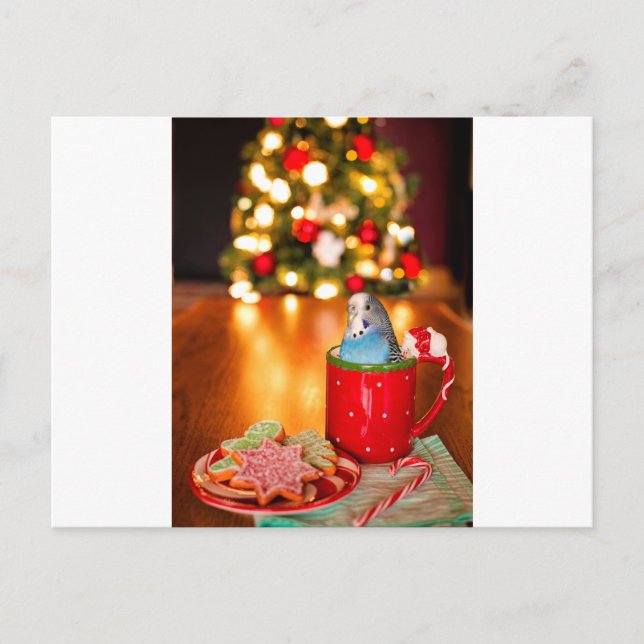 Parakeet jul vykort (Framsida)