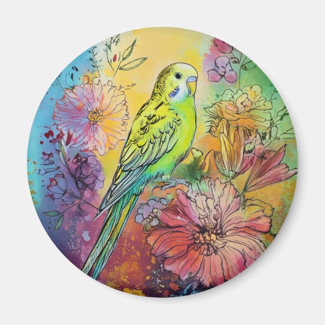 Parakeet Magnet (Framsidan)
