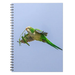 Parakeet munk i Rio Grande Valley Anteckningsbok