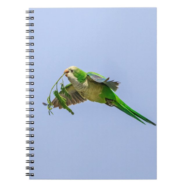 Parakeet munk i Rio Grande Valley Anteckningsbok (Framsidan)