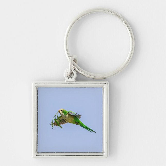 Parakeet munk i Rio Grande Valley Fyrkantig Silverfärgad Nyckelring (Framsidan)