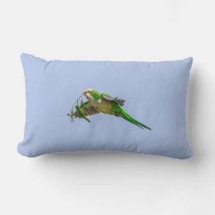 Parakeet munk i Rio Grande Valley Lumbarkudde