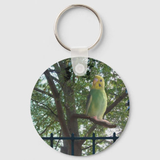 Parakeet Nyckelring