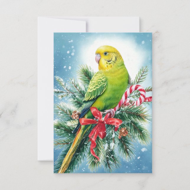 Parakeet och Candy cane julkort Tack Kort (Framsida)