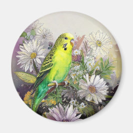 Parakeet och Daisys magnet