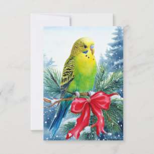 Parakeet på Gräs Gren och julbandet Tack Kort