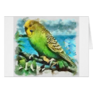 Parakeet på ön OBS kort