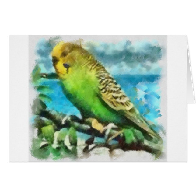Parakeet på ön OBS kort (Framsidan Horizontal)