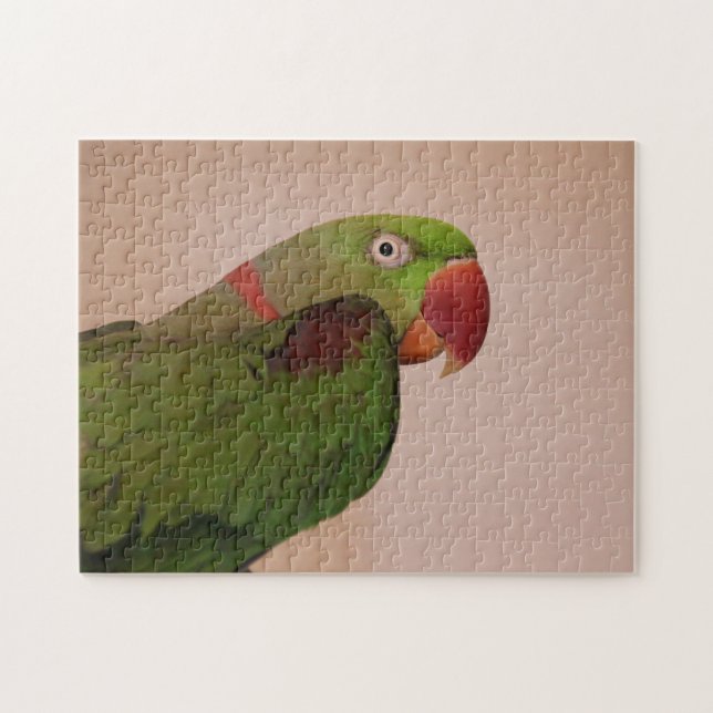 Parakeet Photo Jigszle Puzzle Svårigheter med ro Pussel (Horisontell)